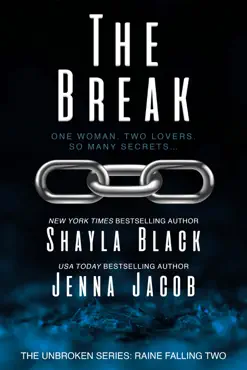 the break book cover image