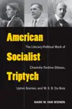 American Socialist Triptych synopsis, comments