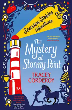 the mystery at stormy point book cover image