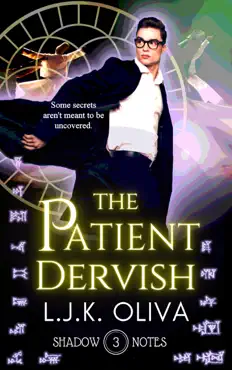 the patient dervish book cover image