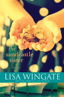 the sandcastle sister book cover image