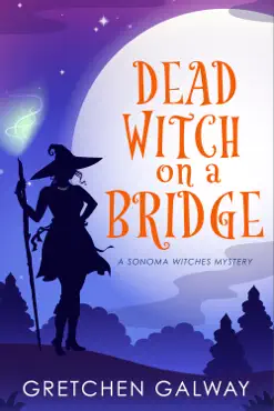 dead witch on a bridge book cover image
