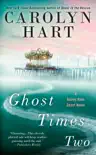 Ghost Times Two synopsis, comments