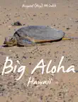 Big Aloha synopsis, comments