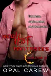 Red Hot Fantasies, Volume 2 synopsis, comments
