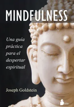 mindfulness book cover image
