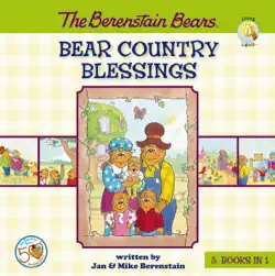 the berenstain bears book cover image