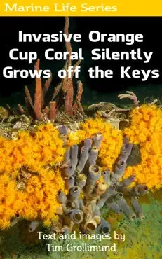 invasive orange cup coral silently grows off the keys book cover image