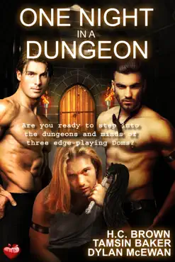 one night in a dungeon book cover image