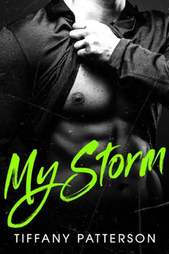 my storm book cover image