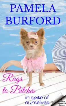 rags to bitches book cover image