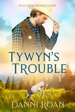 tywyn's trouble book cover image