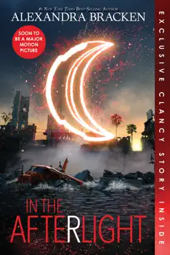 in the afterlight book cover image