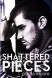 Shattered Pieces synopsis, comments
