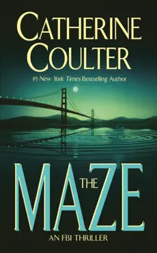the maze book cover image