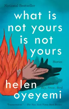 what is not yours is not yours book cover image