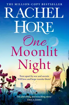 one moonlit night book cover image