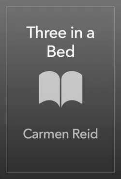 three in a bed book cover image