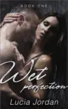 Wet Perfection - Book One e-book