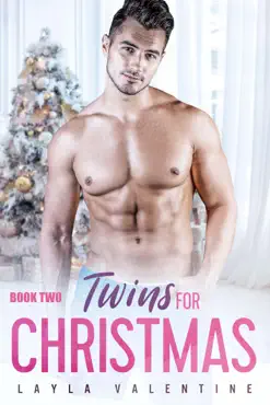 twins for christmas (book two) book cover image