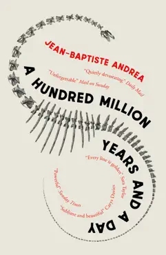 a hundred million years and a day book cover image