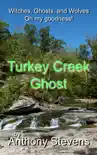 Turkey Creek Ghost synopsis, comments