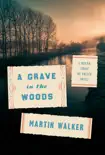 A Grave in the Woods synopsis, comments