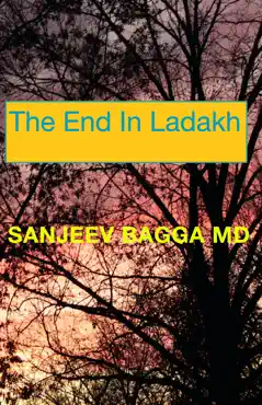 the end in ladakh book cover image