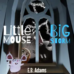 little mouse, big storm book cover image
