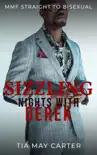 Sizzling Nights with Derek synopsis, comments