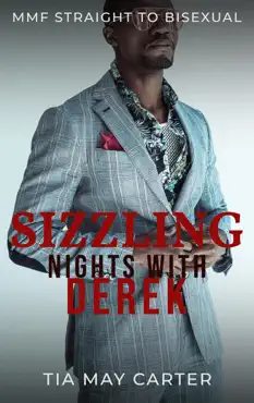 sizzling nights with derek book cover image