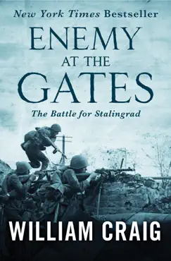 enemy at the gates book cover image