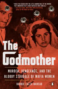 the godmother book cover image