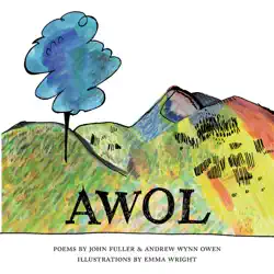 awol book cover image