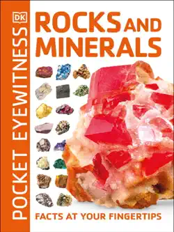 pocket eyewitness rocks and minerals imagen de la portada del libro