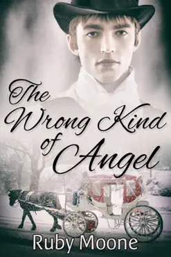 the wrong kind of angel book cover image