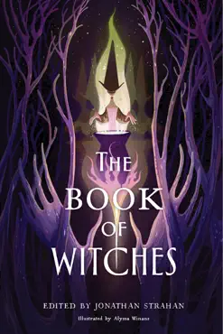 the book of witches book cover image