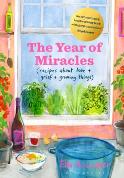 the year of miracles book cover image
