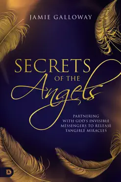 secrets of the angels book cover image