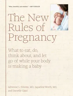 the new rules of pregnancy book cover image