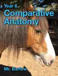Year 8 Comparative Anatomy reviews