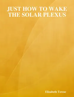 just how to wake the solar plexus book cover image