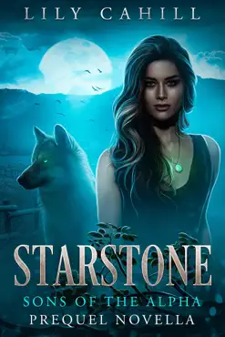 starstone book cover image