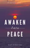 Awaken Into Peace synopsis, comments