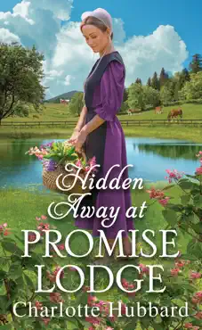 hidden away at promise lodge book cover image