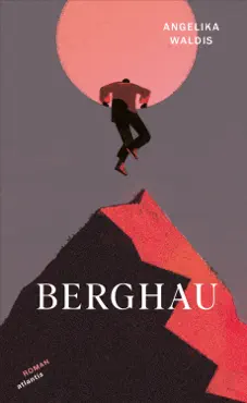 berghau book cover image