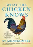 What the Chicken Knows synopsis, comments