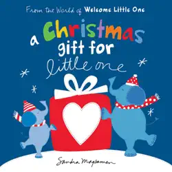 a christmas gift for little one book cover image