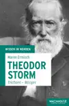 Theodor Storm synopsis, comments