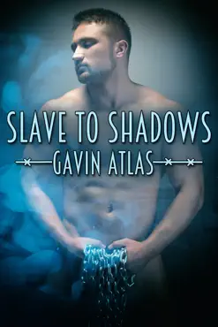 slave to shadows book cover image